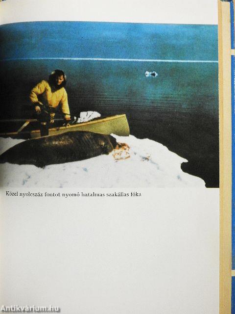 Most már eszkimó vagy!