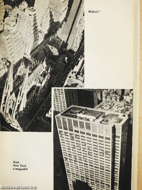 Feleség voltam New Yorkban