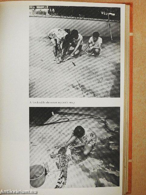 Barátaim, a kannibálok