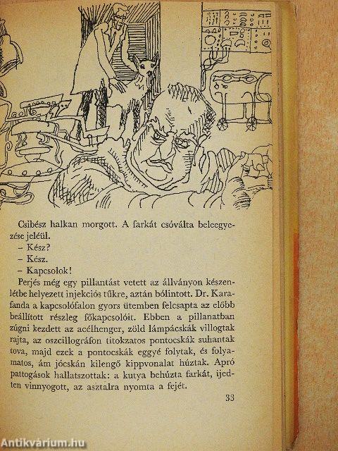 A rovarok lázadása