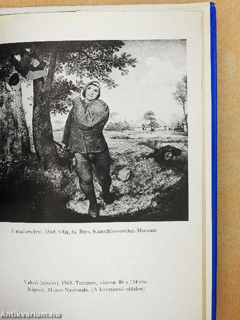 Pieter Bruegel szenvedélyes élete