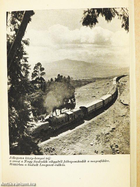 Jambó, Kilimandzsáró!