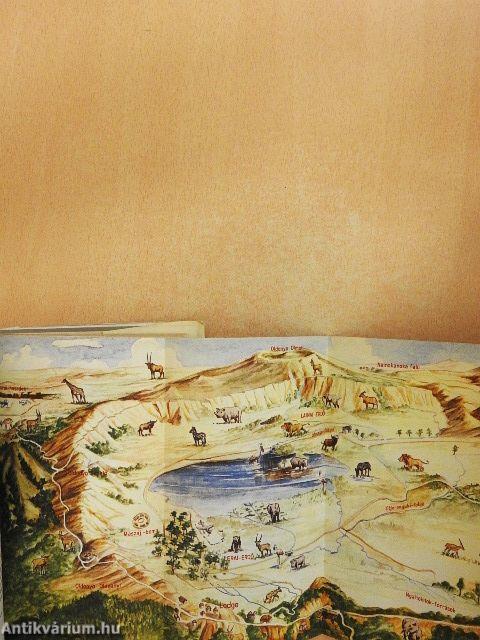 Jambó, Kilimandzsáró!