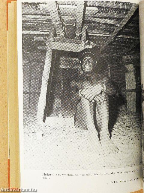 Barátaim, a kannibálok