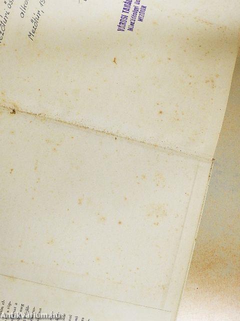 Az ember önmaga alkotója