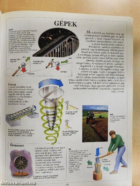 Képes gyermekenciklopédia