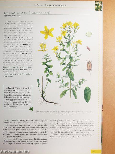 A természet kincseskamrája