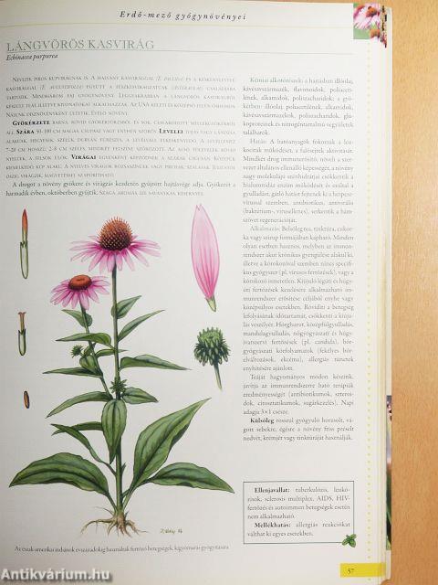 A természet kincseskamrája