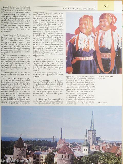 Pannon Enciklopédia - Magyar nyelv és irodalom