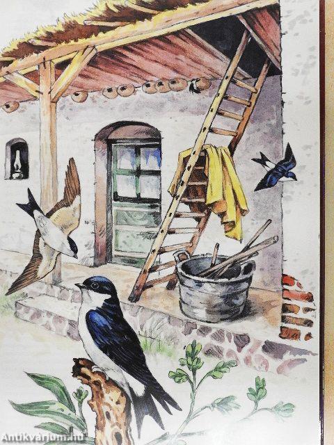 A magyarság madarai