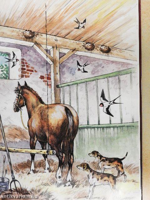 A magyarság madarai