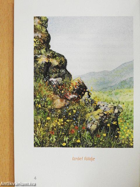 József, az élet megőrzője