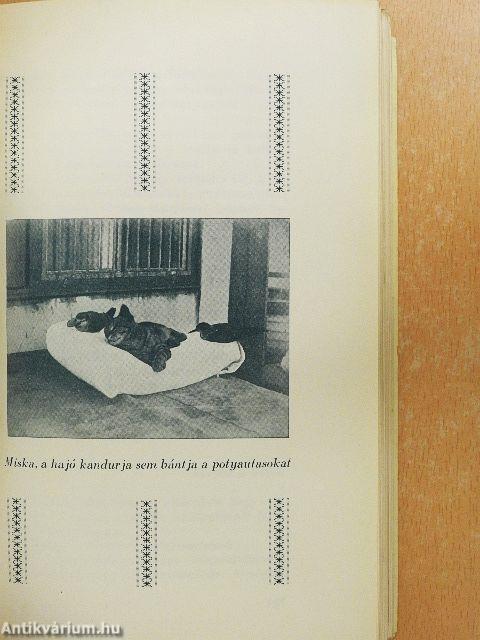 Húsz év a tengeren