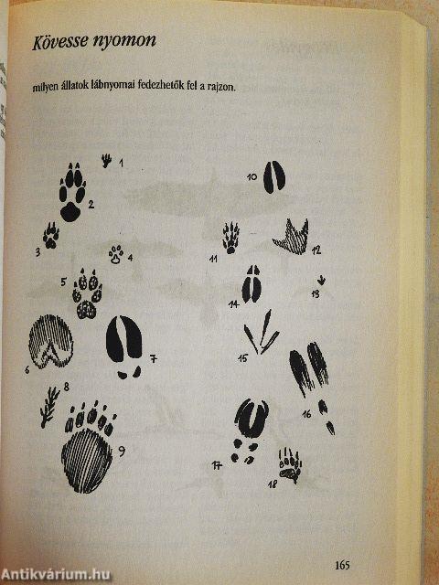 Nagy műveltségi tesztkönyv