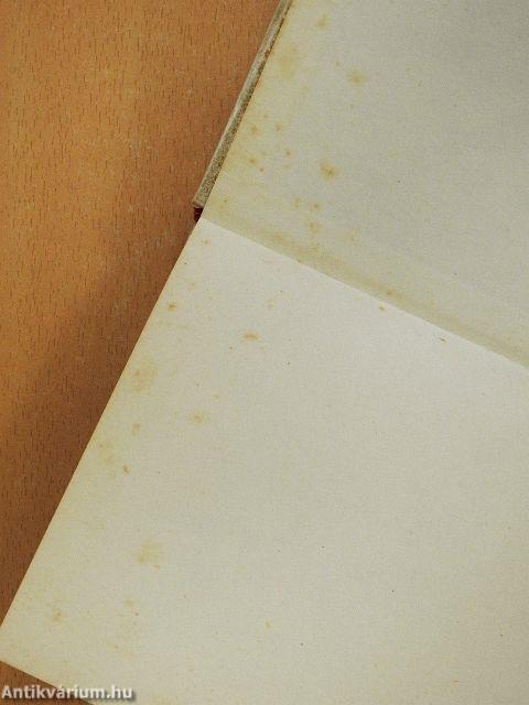 Arcképvázlat történelmi háttérrel