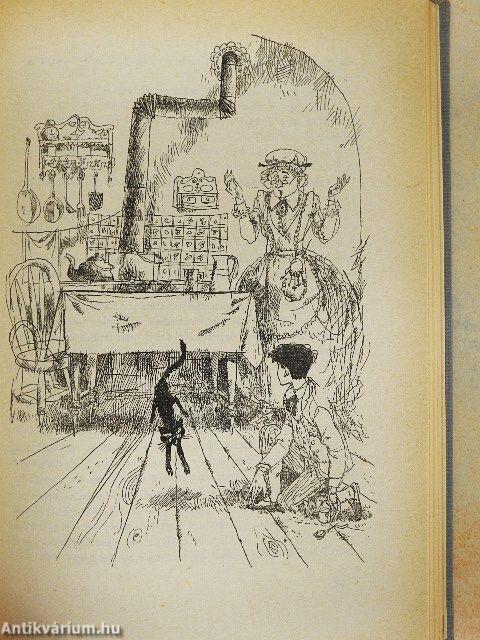 Tom Sawyer kalandjai
