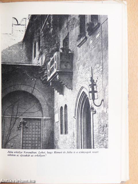 Mecsetek, basák, efendik