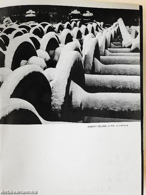 Foto 1970-1972. (vegyes számok) (25 db)