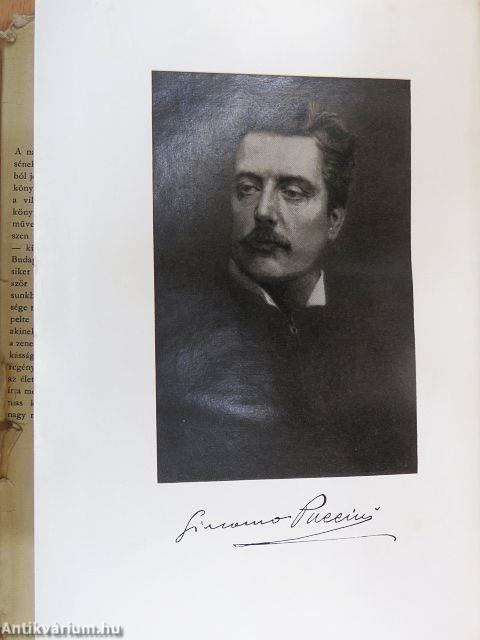 Bohémek és pillangók