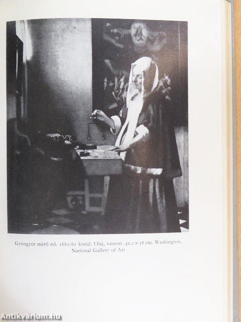 Vermeer van Delft életregénye