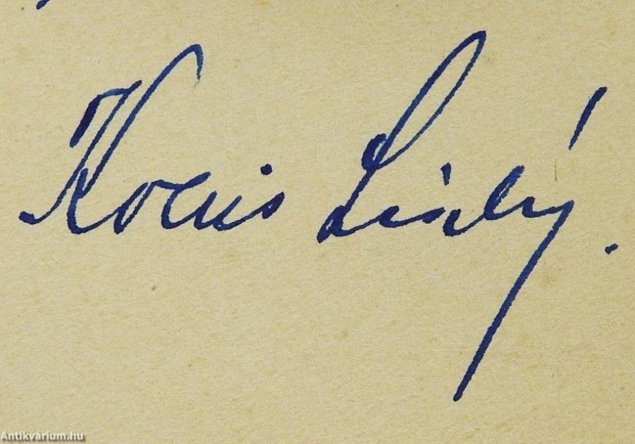 A dóm (dedikált példány)