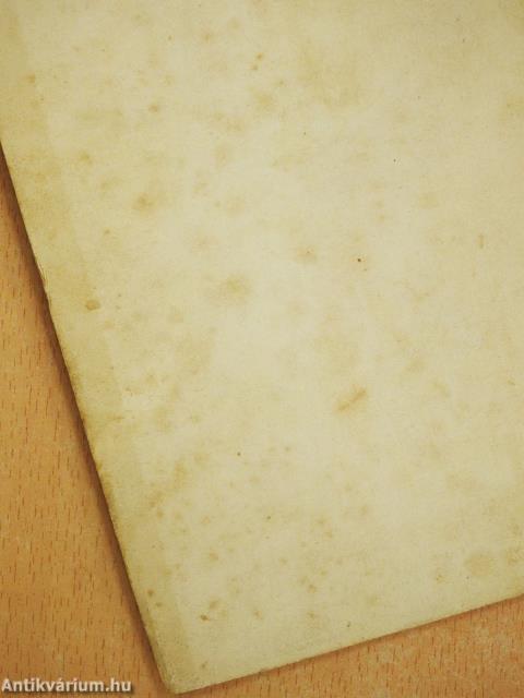 A dóm (dedikált példány)