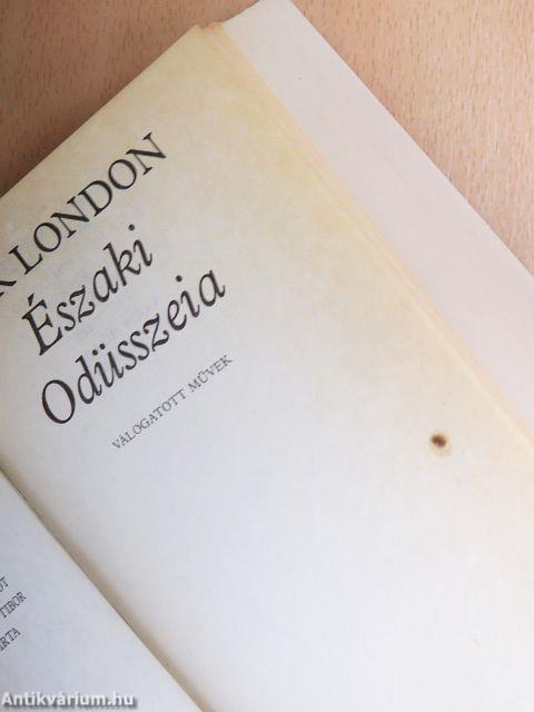 Északi Odüsszeia