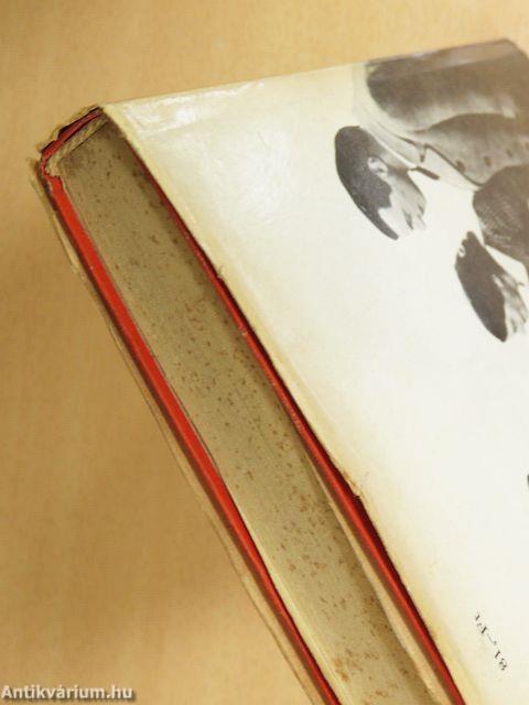 Halálos tavasz/Az ezüstszárnyú szélmalom