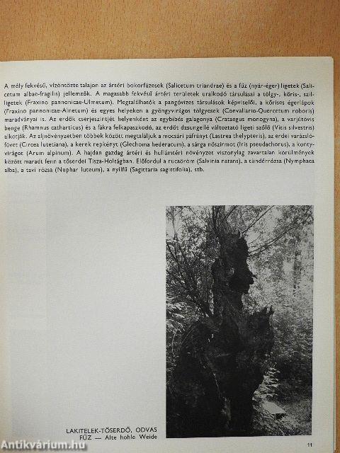 Kiskunsági Nemzeti Park