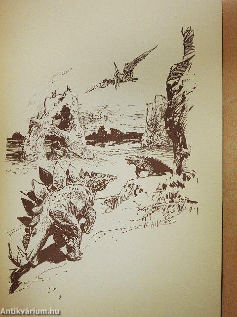 Harc a barlangi medvével