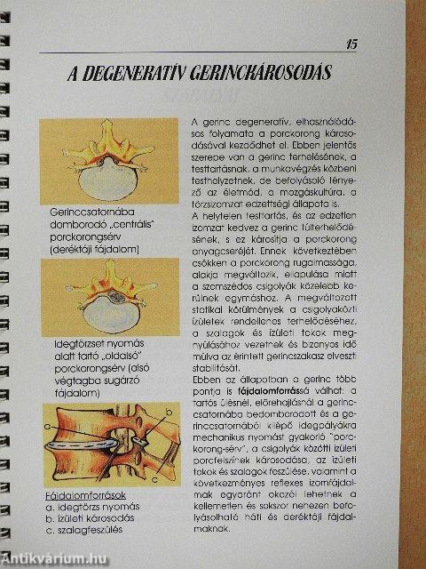 Gerinciskola