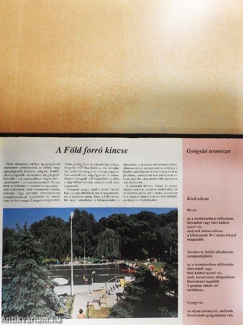 Csongrád megye - Szeged