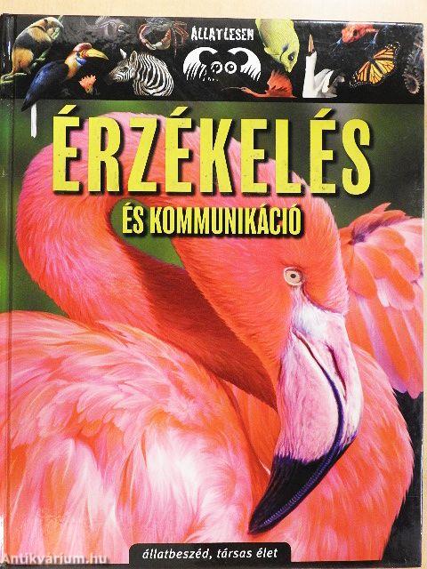 Érzékelés és kommunikáció