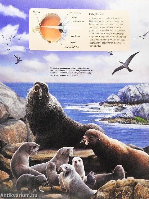 Érzékelés és kommunikáció