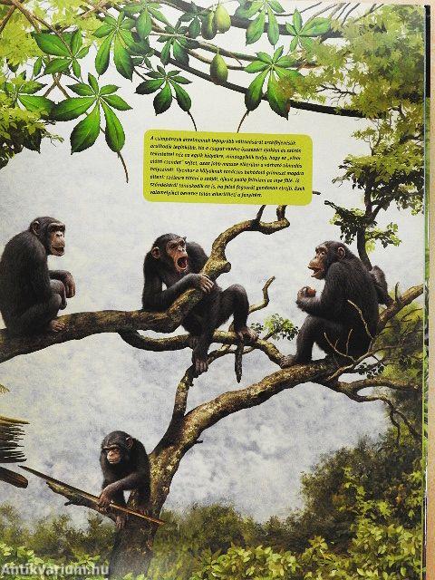 Érzékelés és kommunikáció