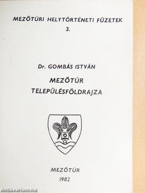 Mezőtúr településföldrajza