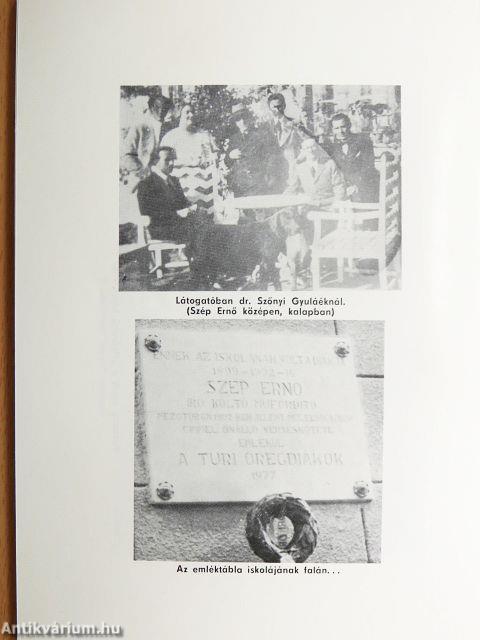 Szép Ernő és Mezőtúr