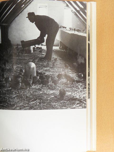 Ez elment vadászni...