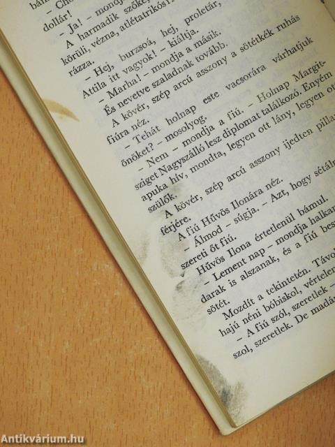 Jó estét nyár, jó estét szerelem (dedikált példány)