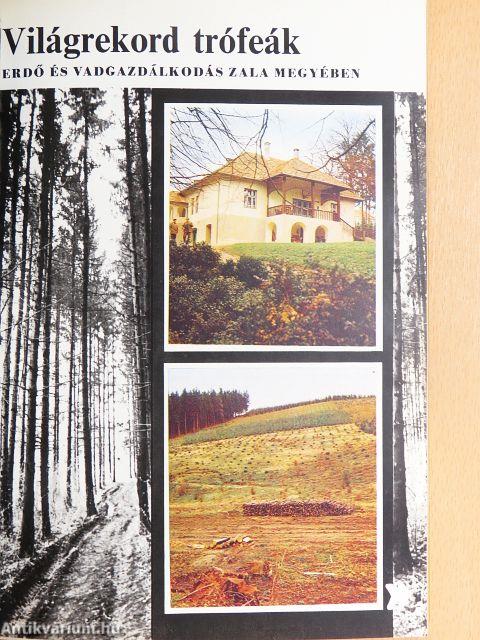 Zala megye bemutatkozik