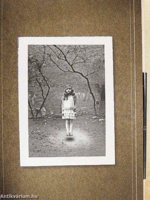 Vándorsólyom kisasszony különleges gyermekei