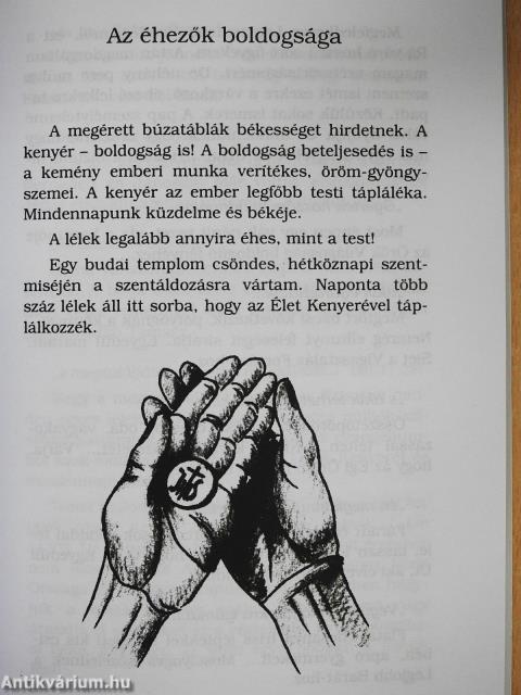 Fényes utak (dedikált példány)