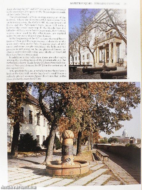 Budapest and its environs