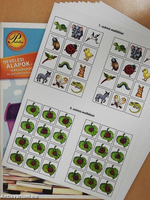 Iskolai sikerkalauz I.