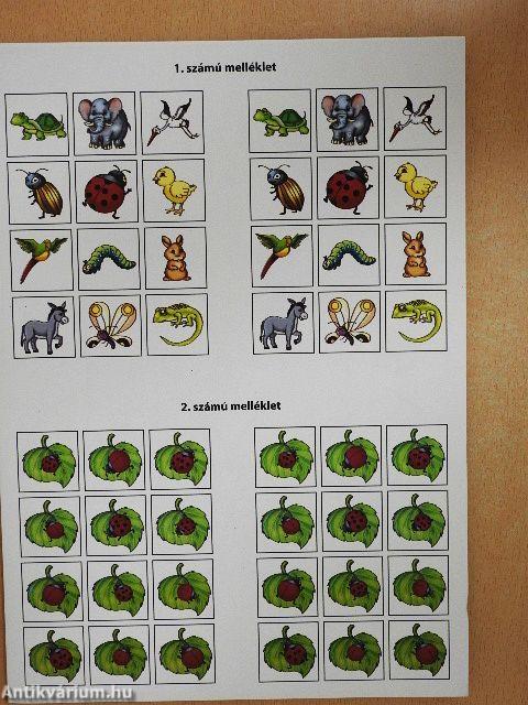 Iskolai sikerkalauz I.