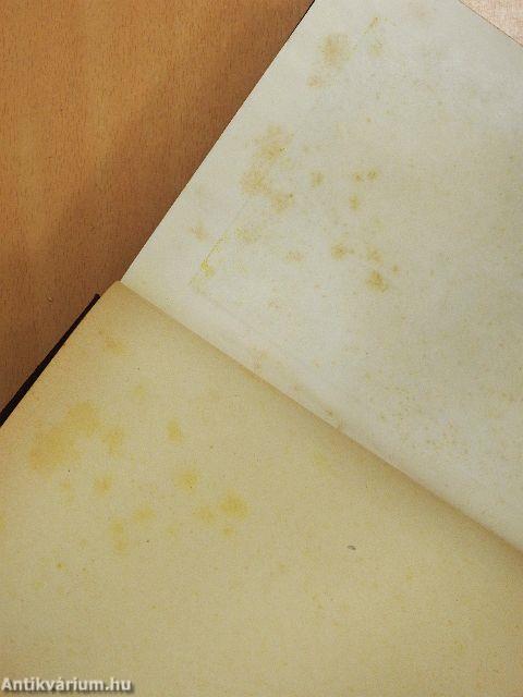 Az emberiség története