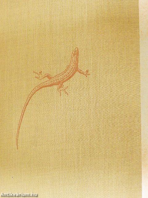 Aus dem Leben der Reptilien