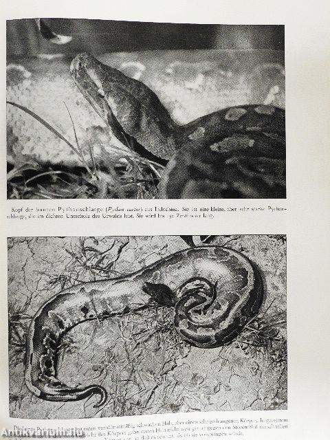 Aus dem Leben der Reptilien