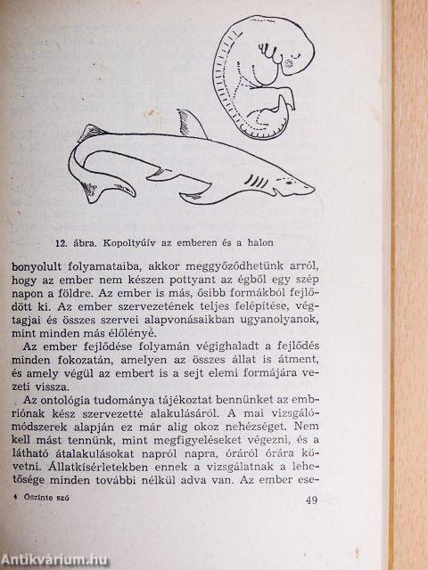 Őszinte szó a szerelemről