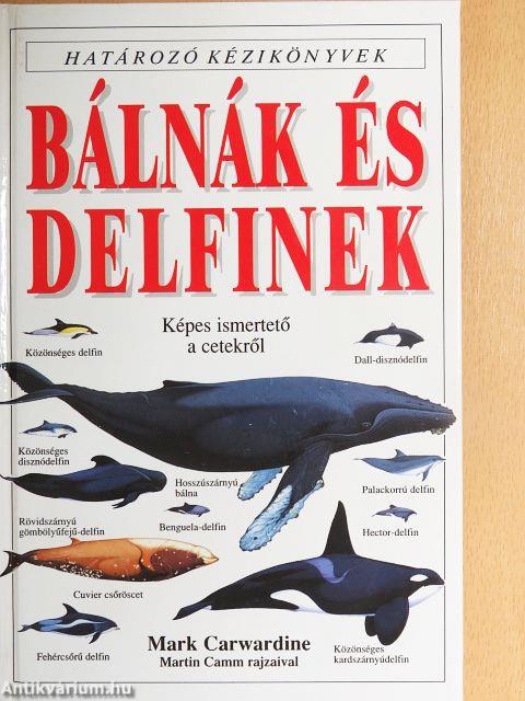 Bálnák és delfinek